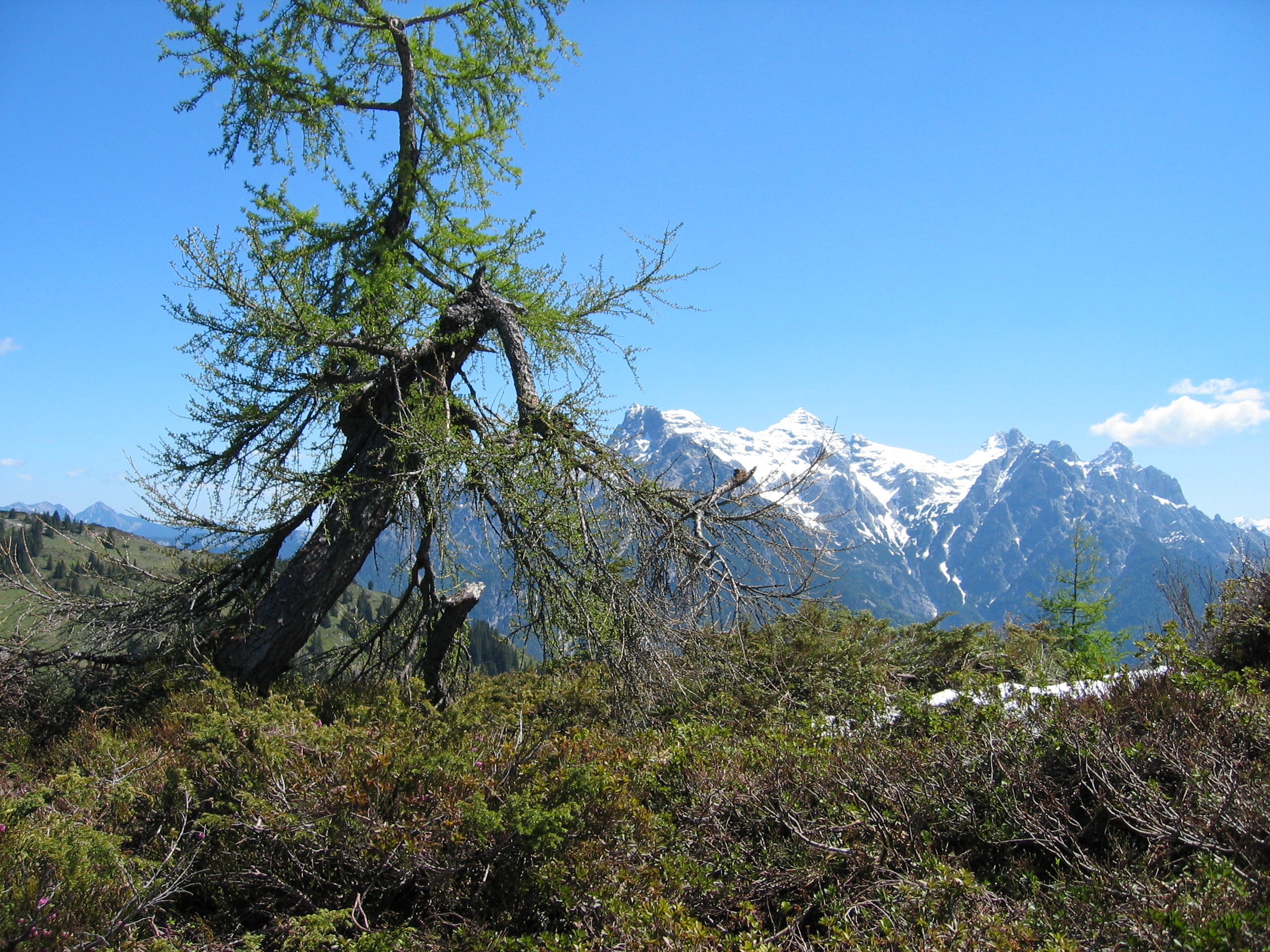 Blick vom Wallerberg in Richtung Loferer