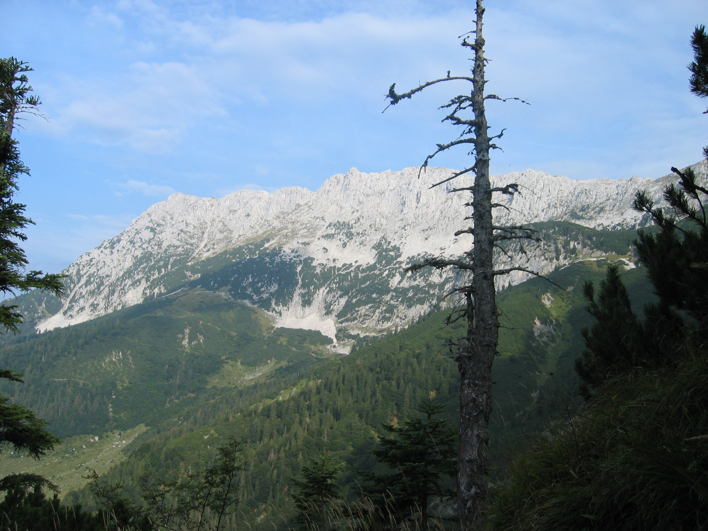 Blick in Richtung Scheffauer