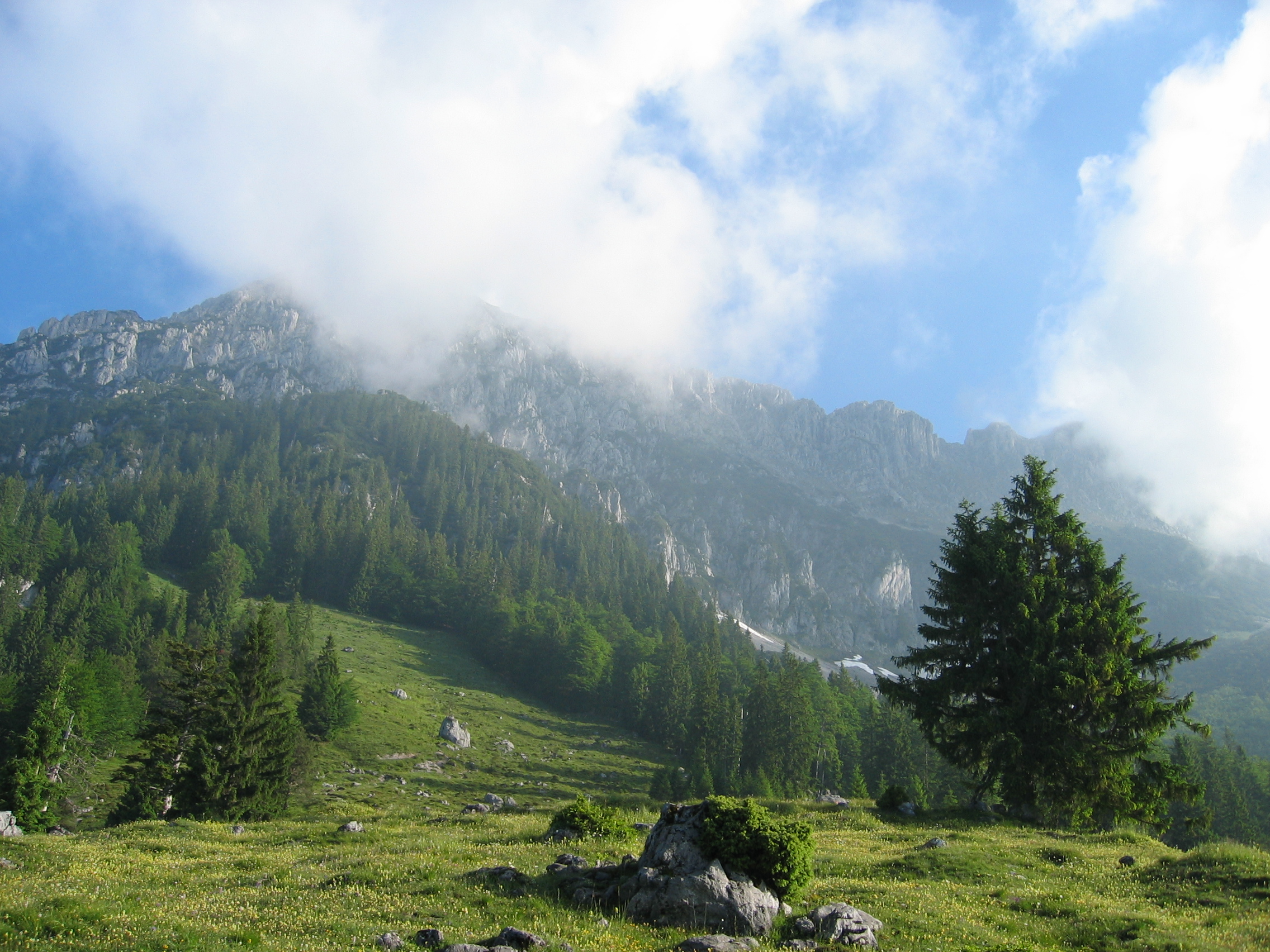 Im Aufstieg zur Kaiser-Hochalm