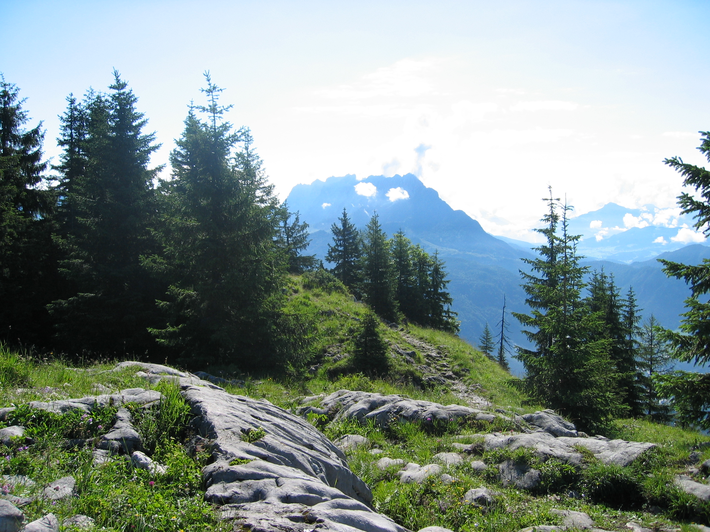 Blick zum Wilden Kaiser