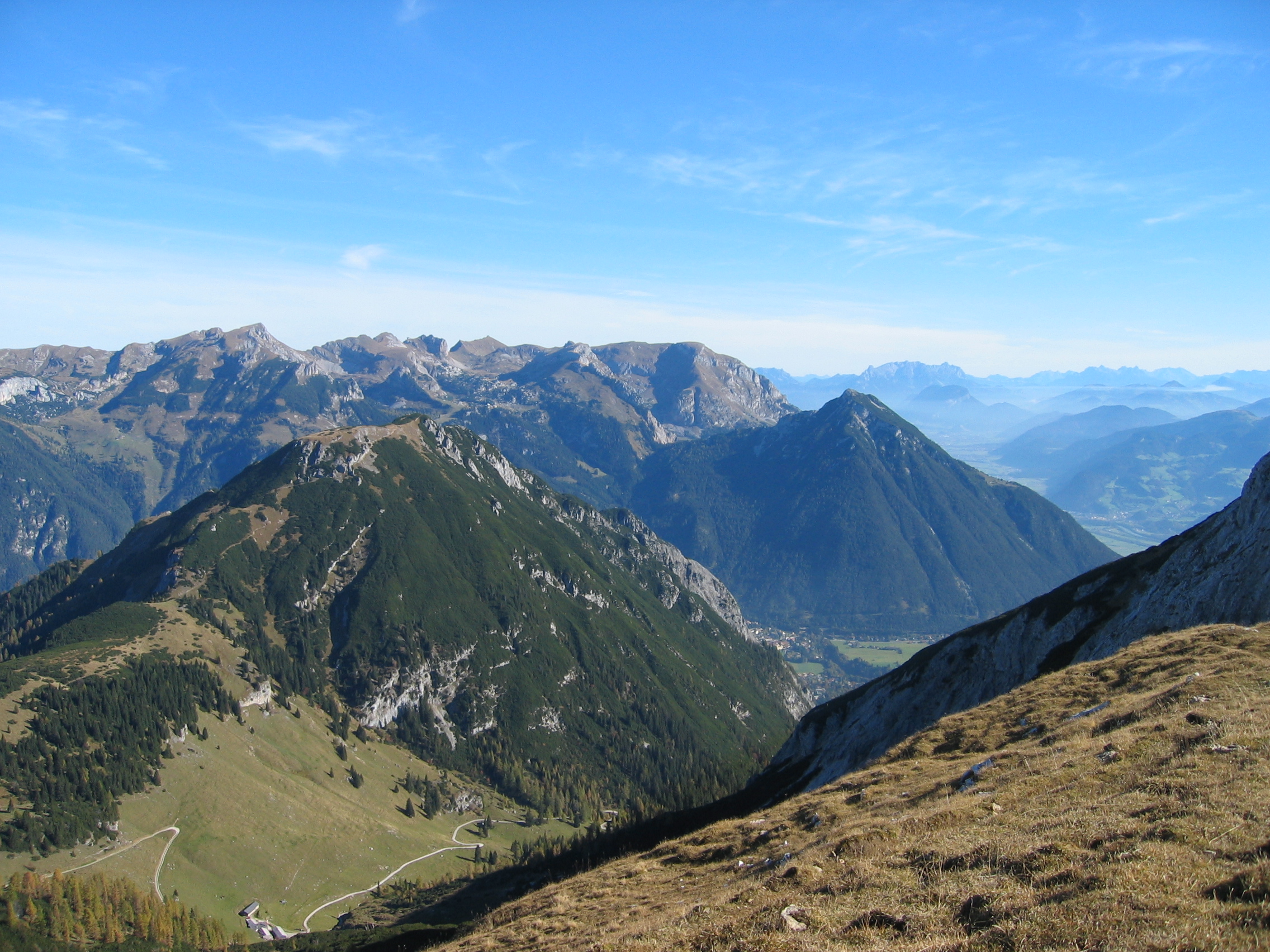 B&auml;renkopf, dahinter der Rofanstock