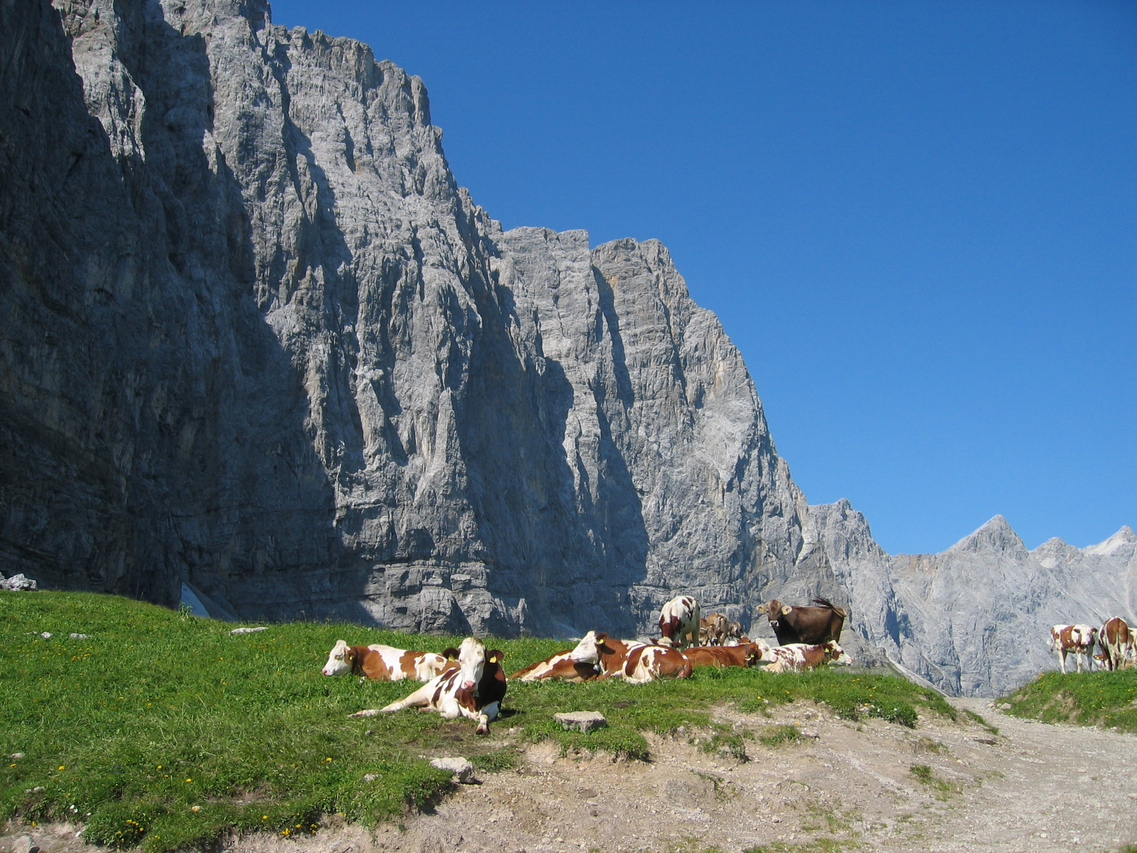 Ein schöner Aussichtsplatz, nicht nur für Wanderer