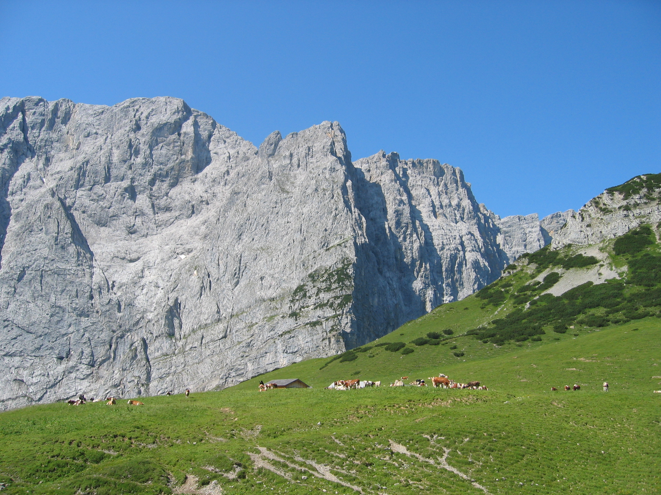 Lalidersalm-Hochleger