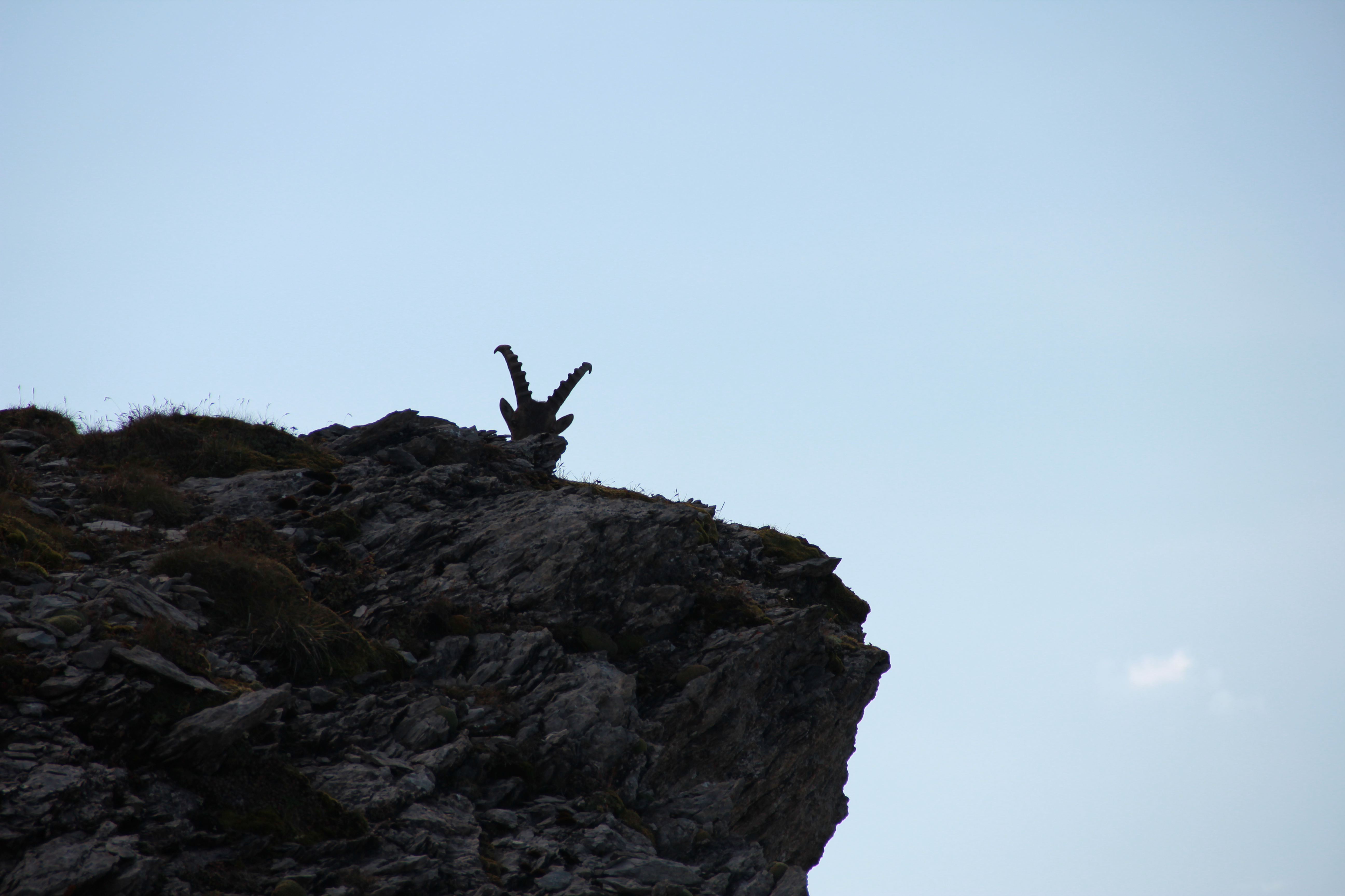 Er hat anscheinend die ganze Zeit auf meine Rückkehr gewartet.