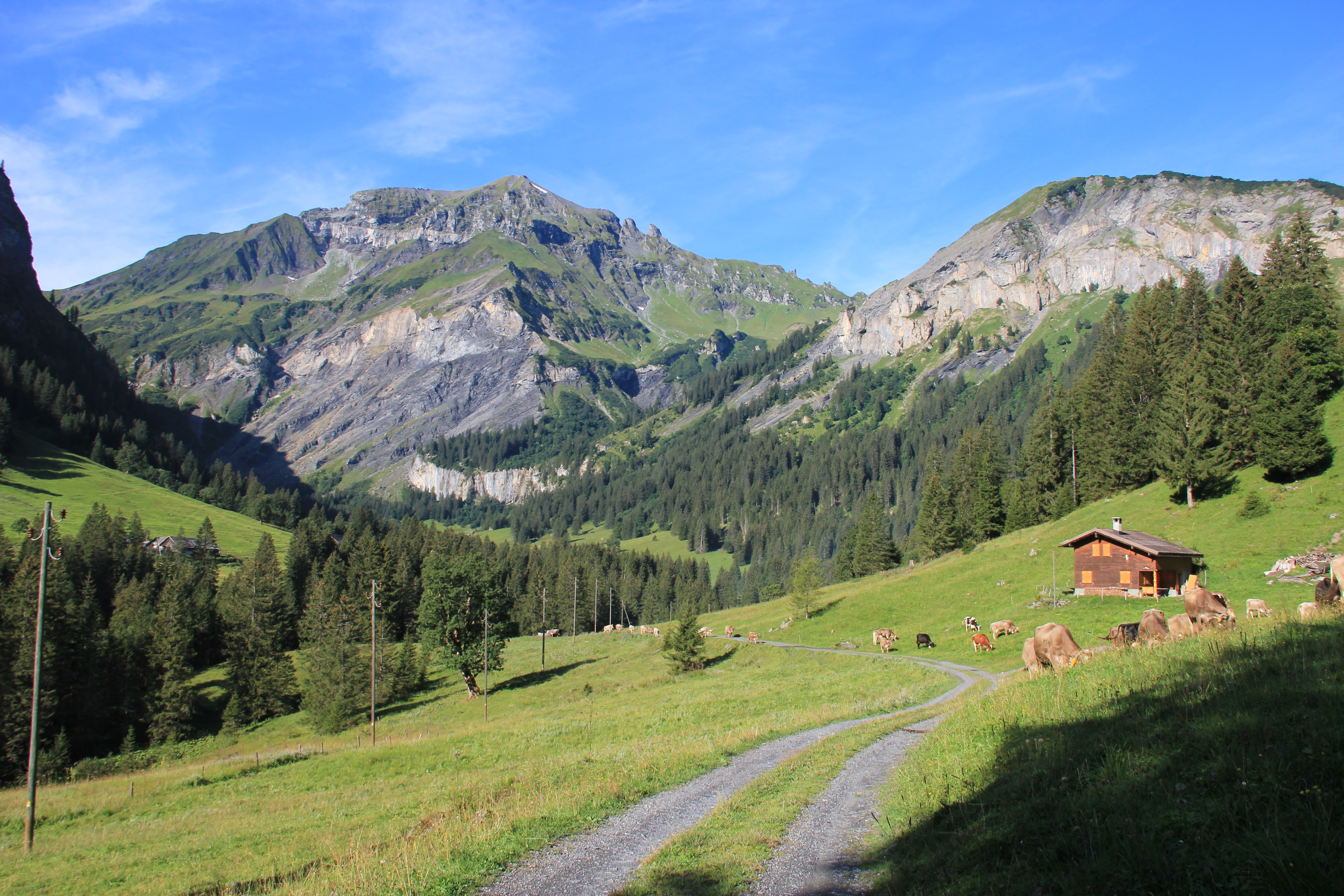In der Nähe der Alpe Vorsiez