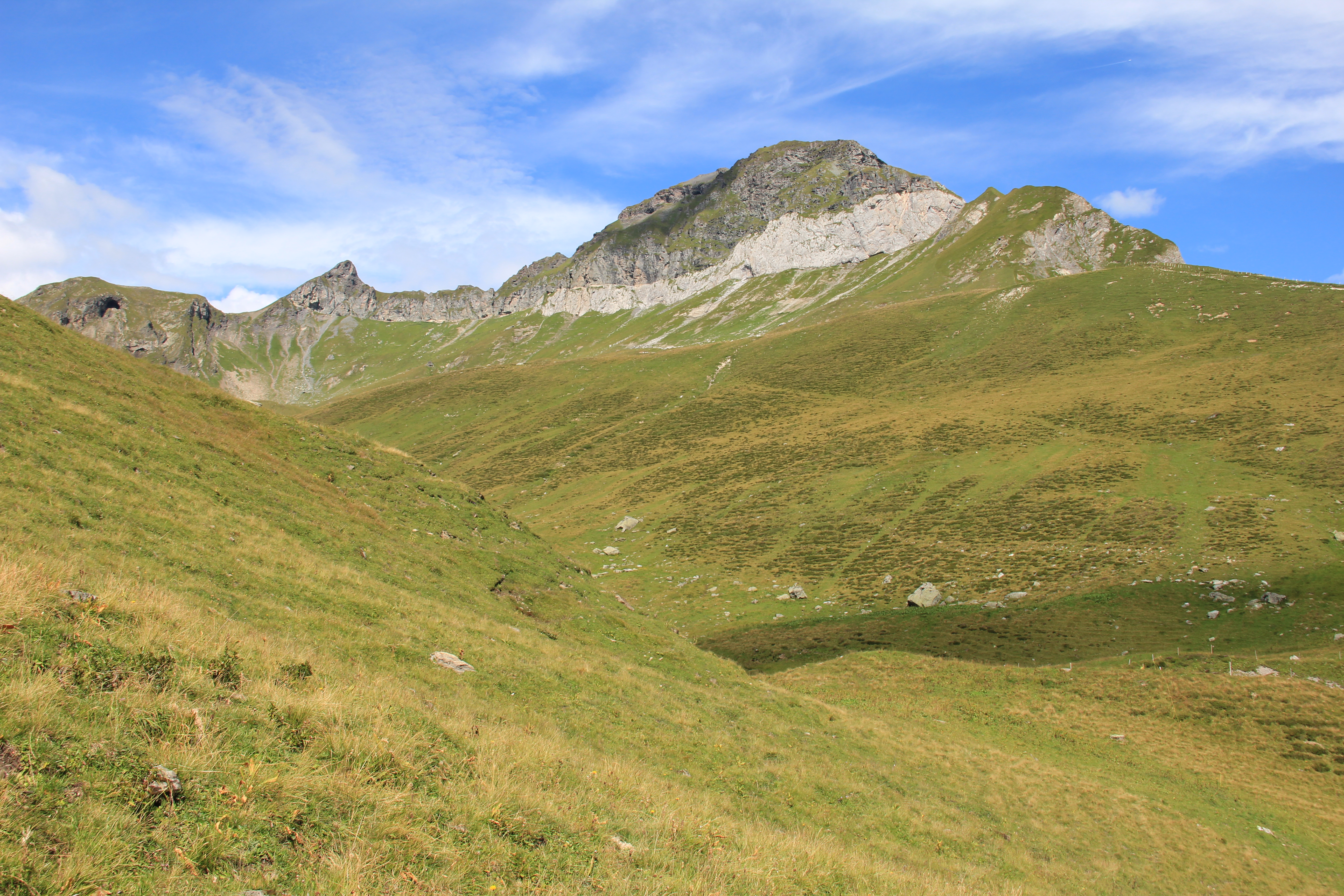 Foostöckli und Ruchen/Foostock