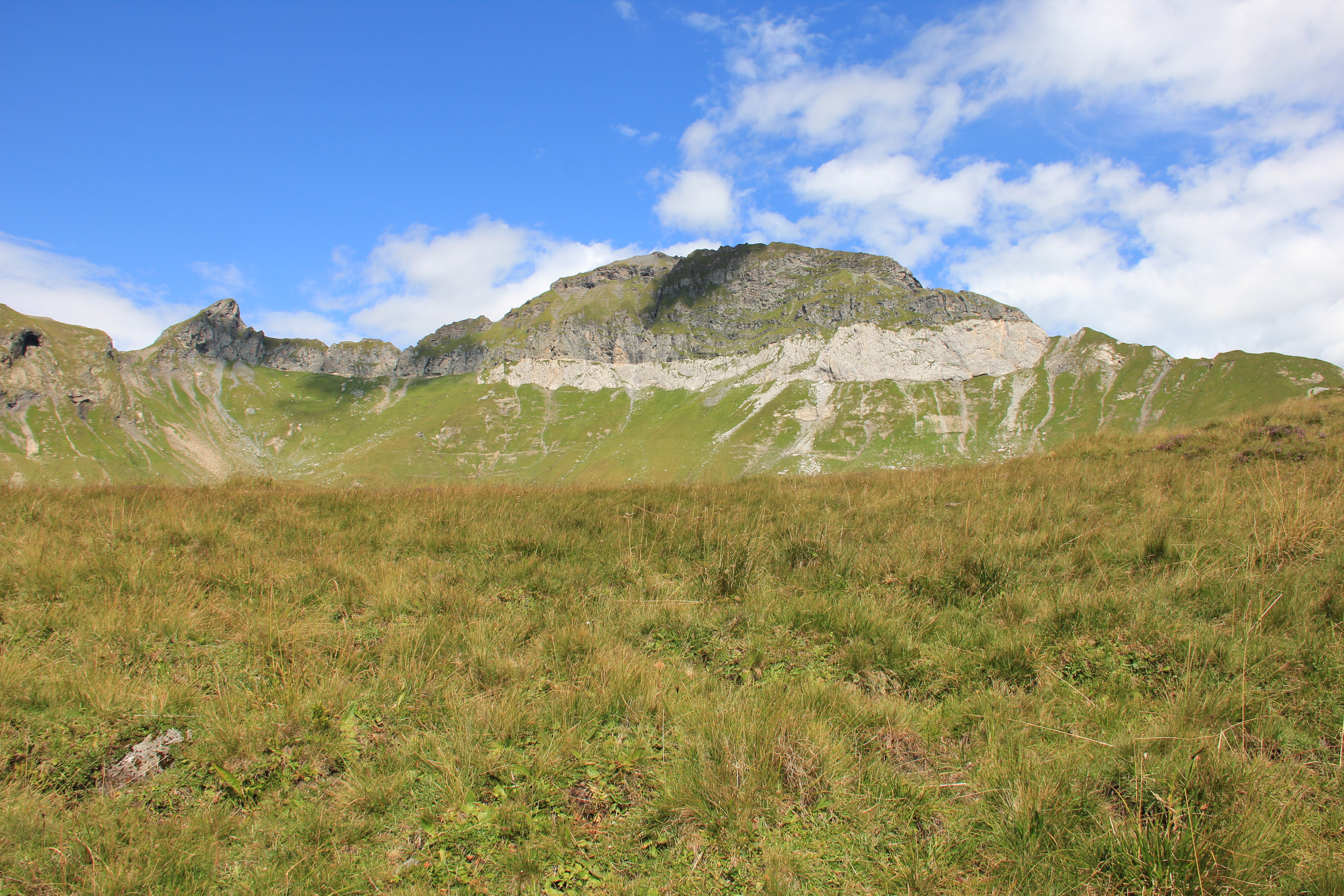 Foostöckli und Ruchen/Foostock