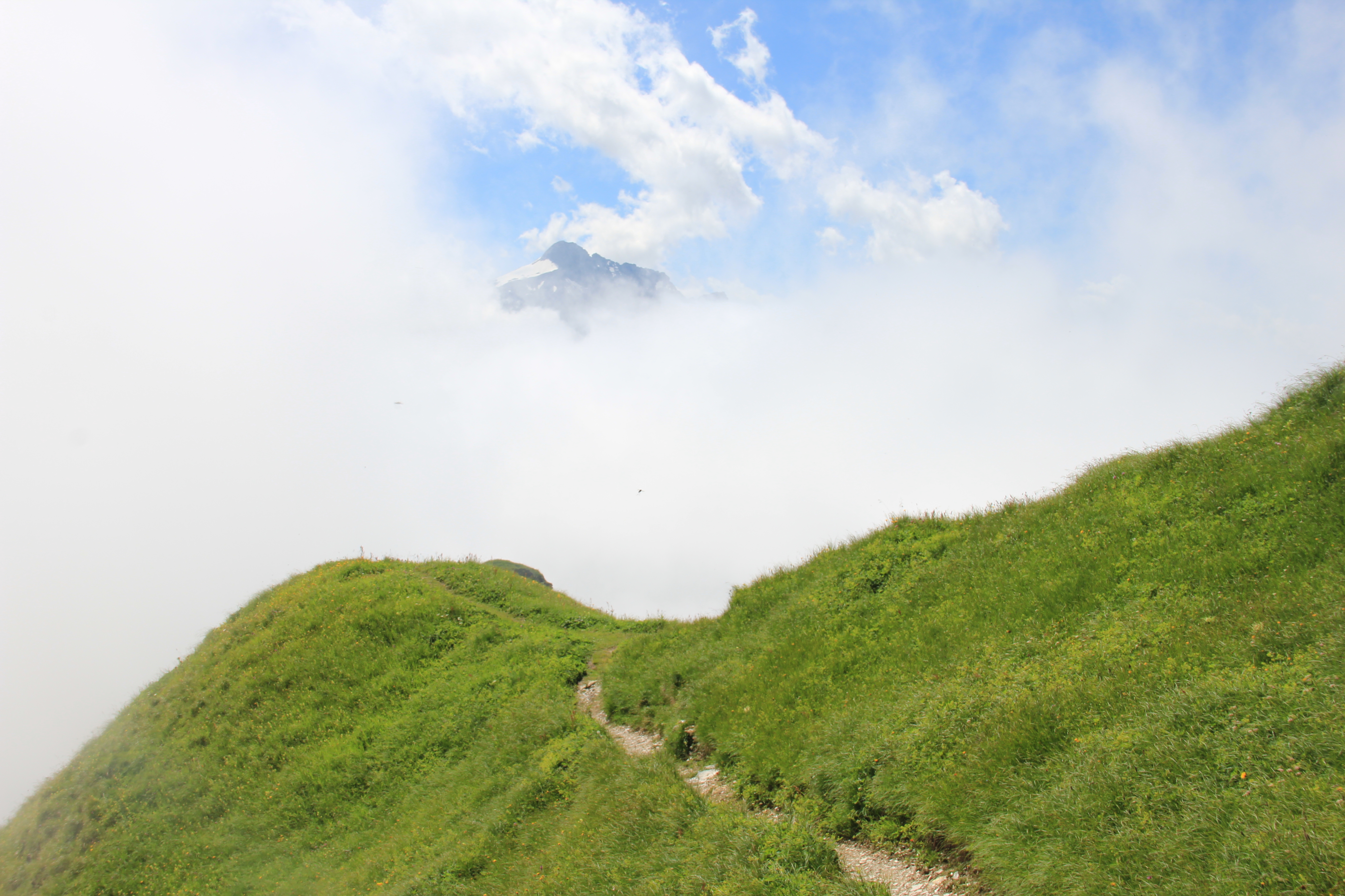 Zwischen Balmer Grätli und Ruosalper Chulm