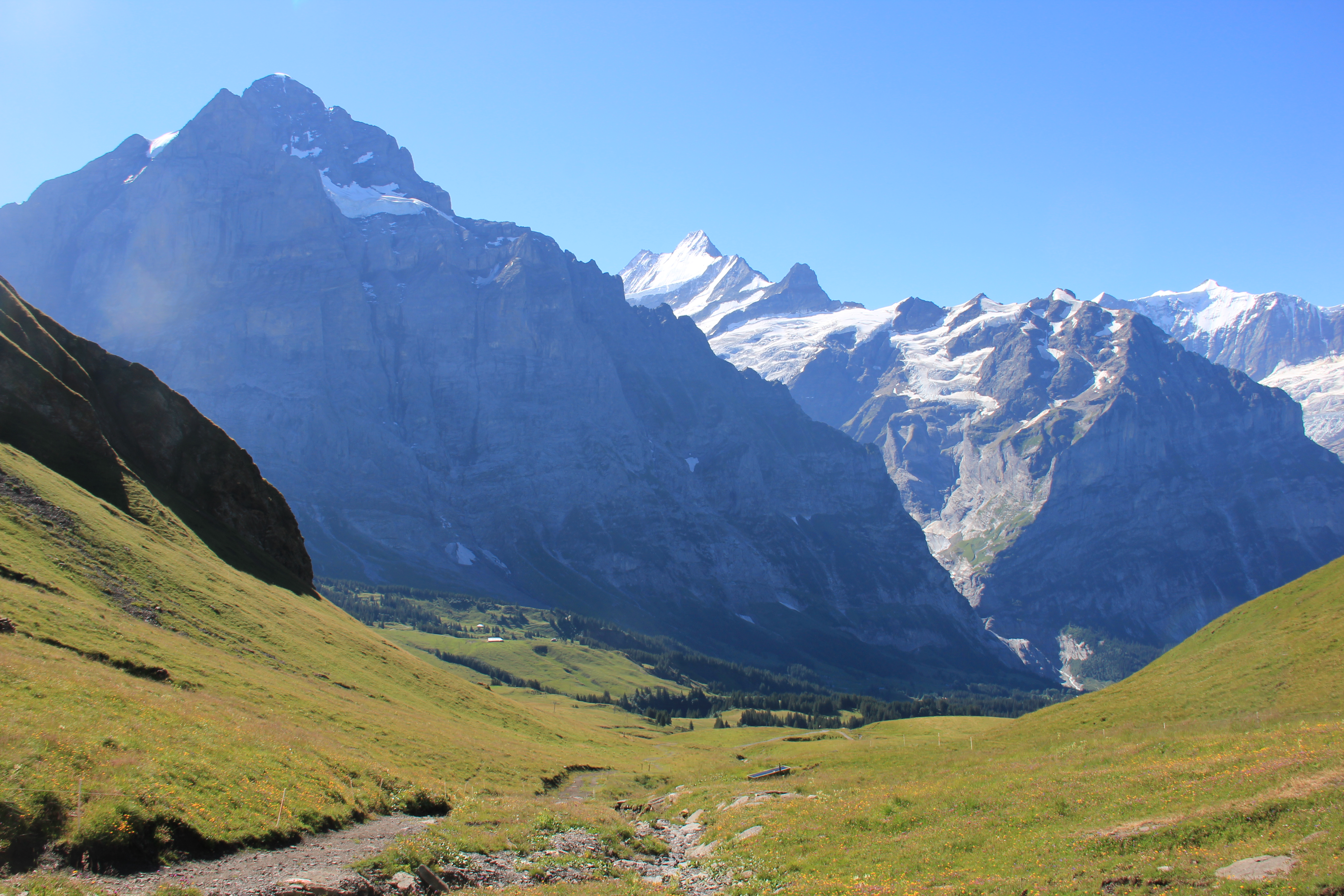 Wetterhorn, Schreckhorn