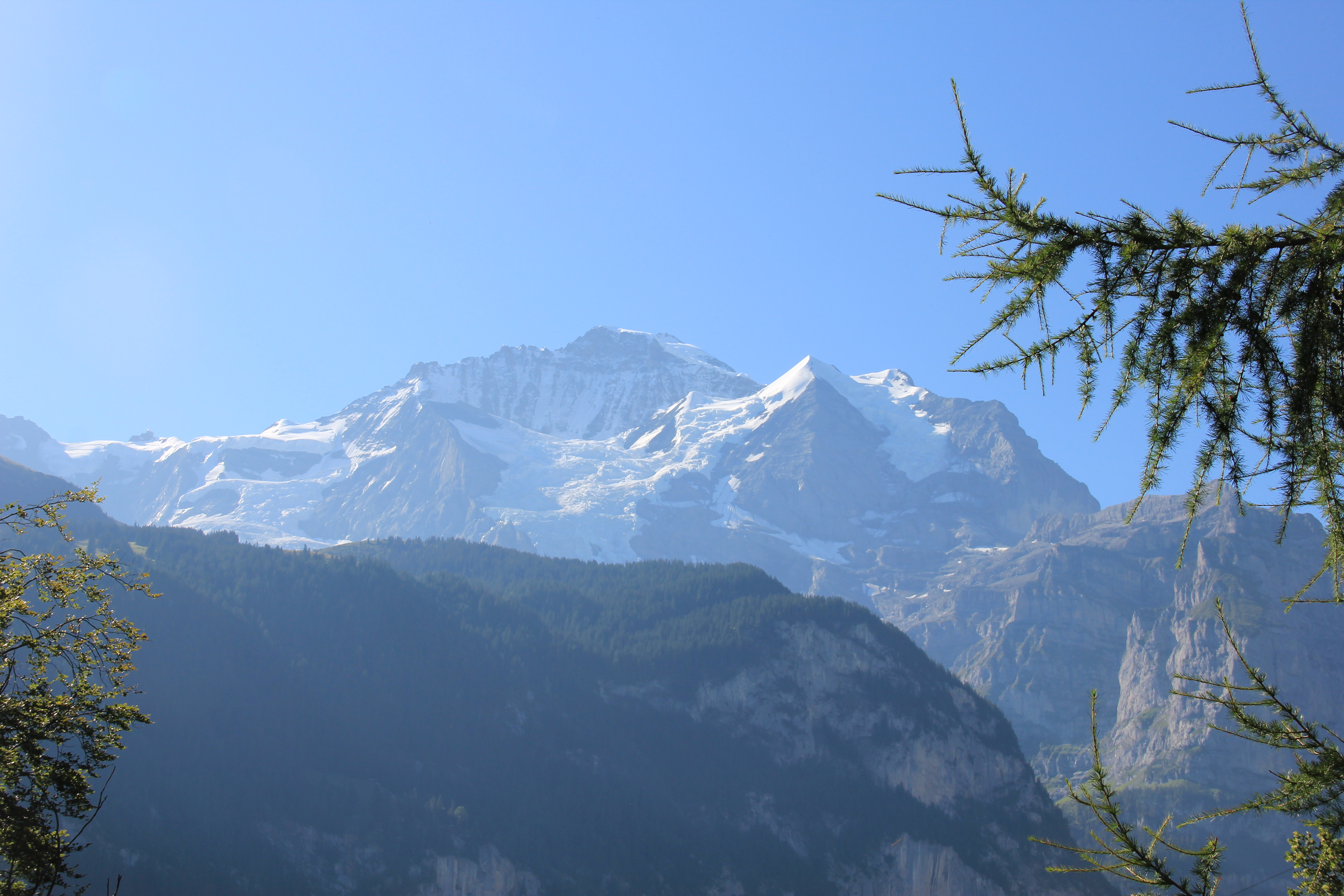 Jungfrau, Silberhorn
