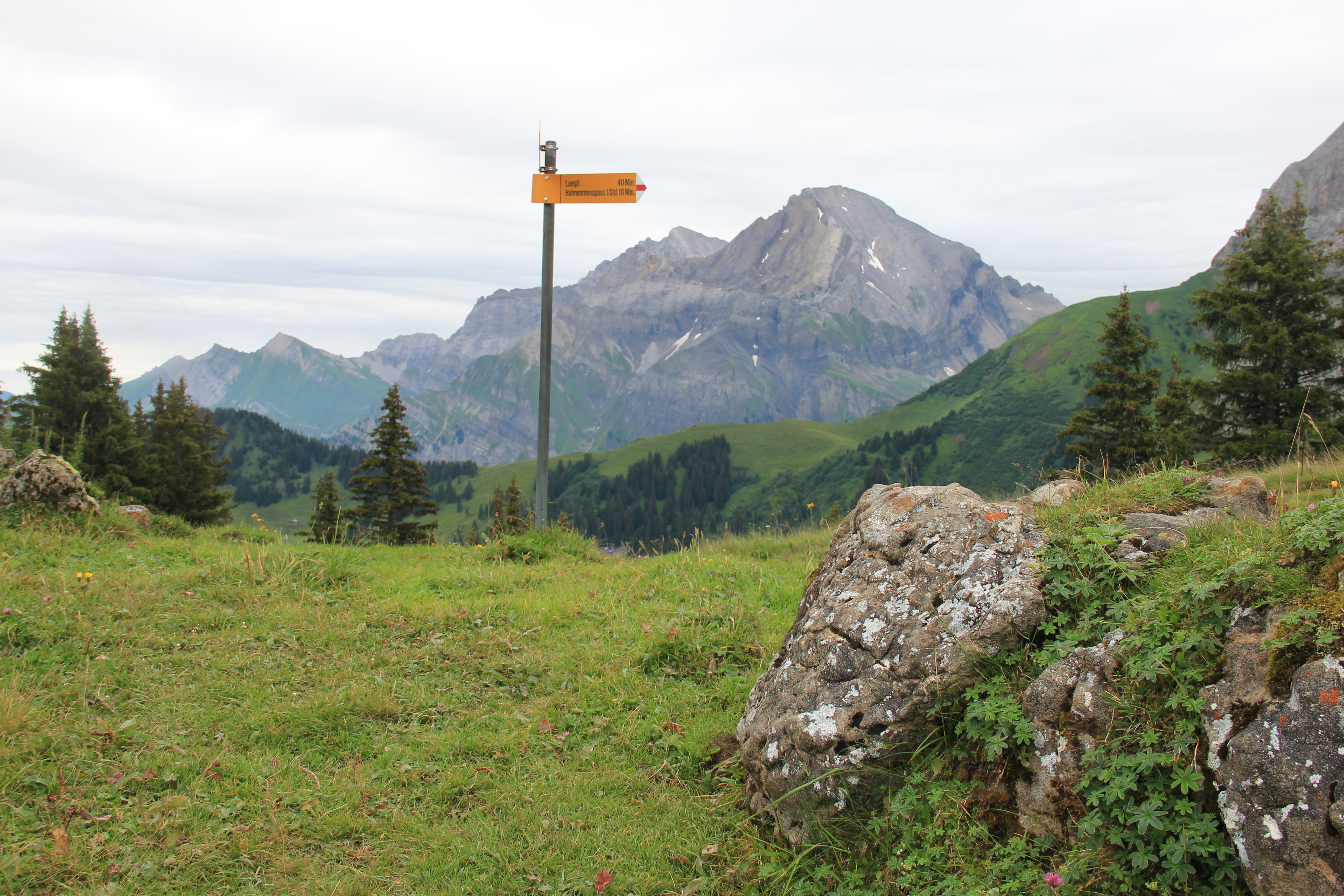 R&uuml;ckblick zur Loner-Kette