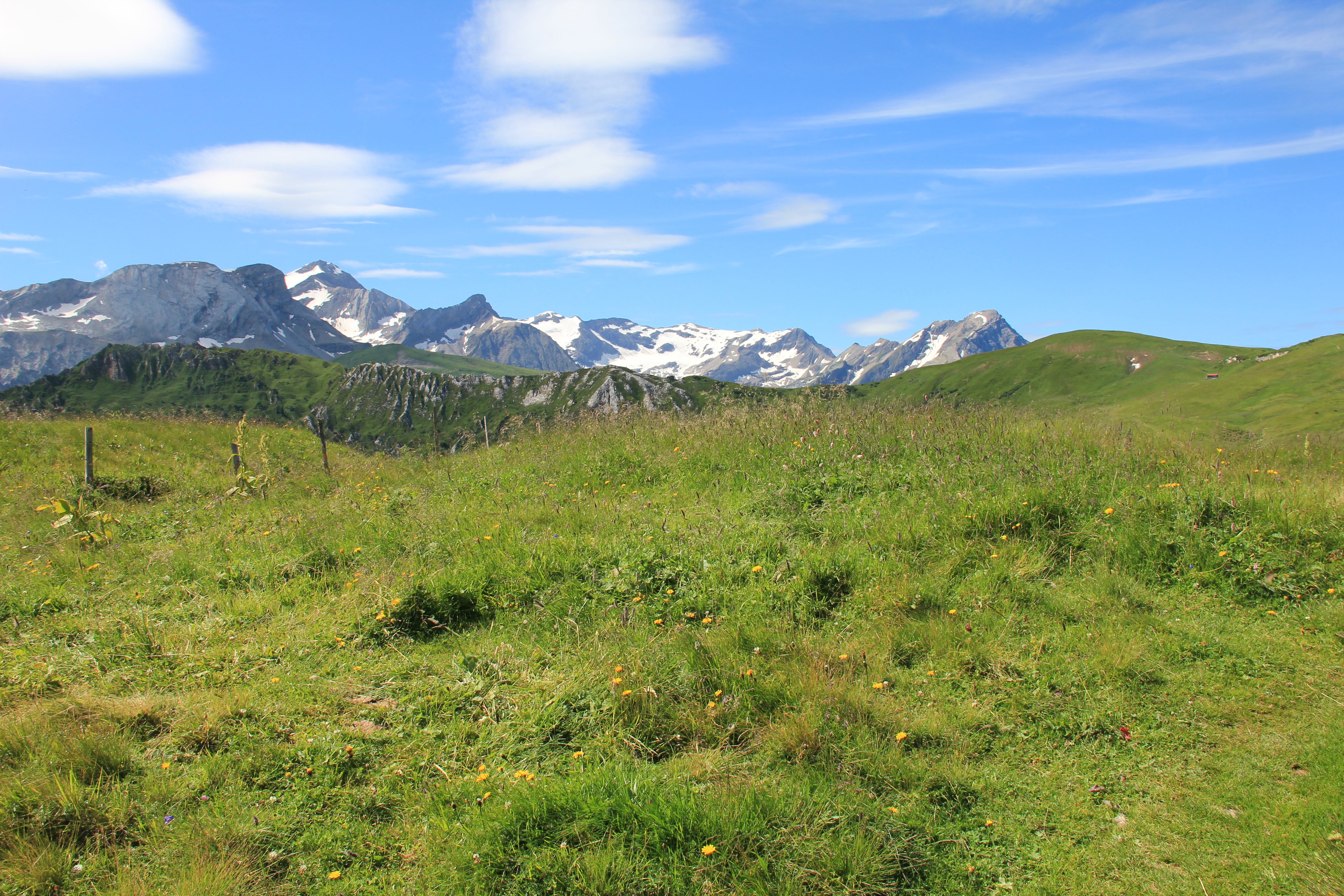 Am Tr&uuml;tlisbergpass