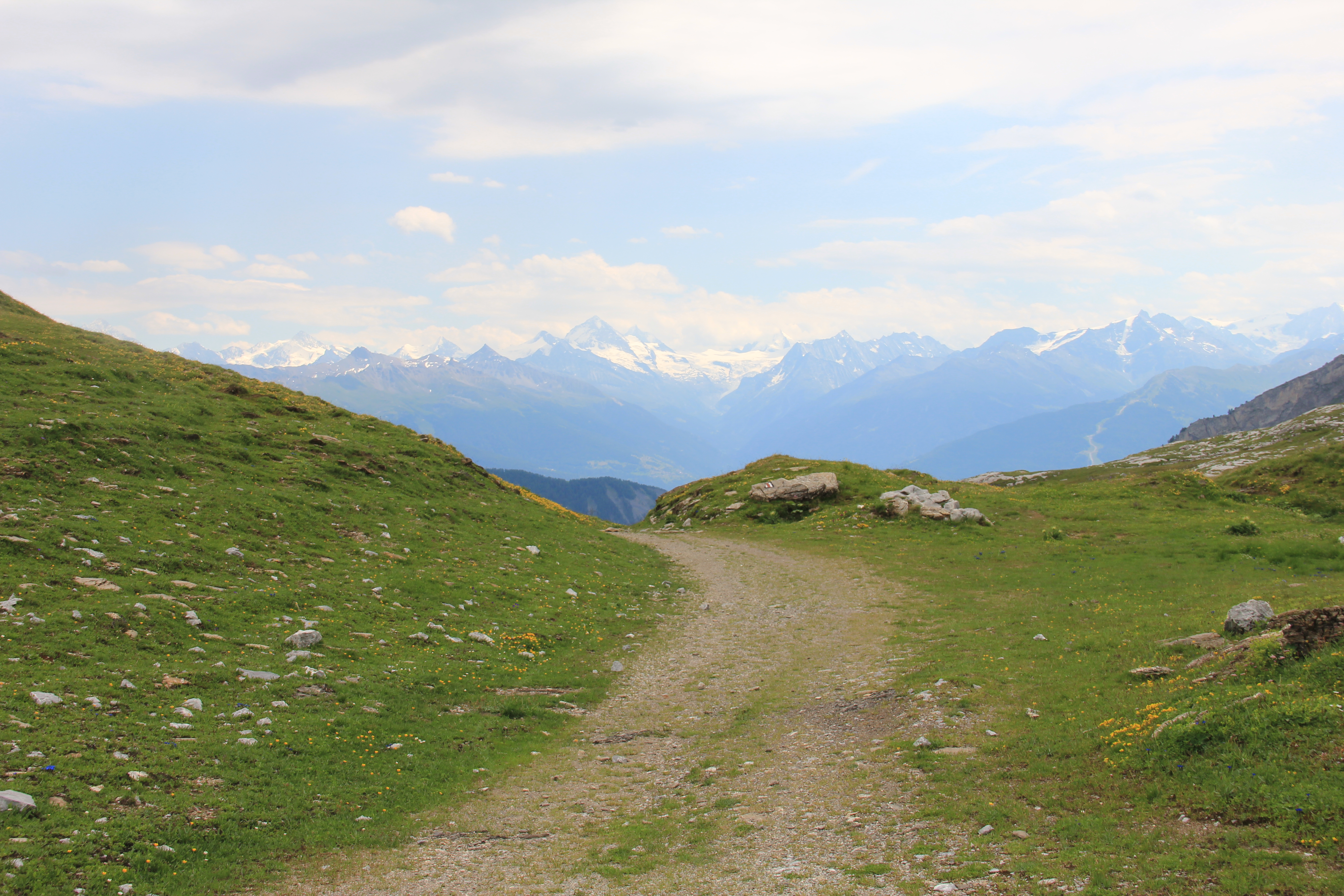 Blick in Richtung Walliser Alpen