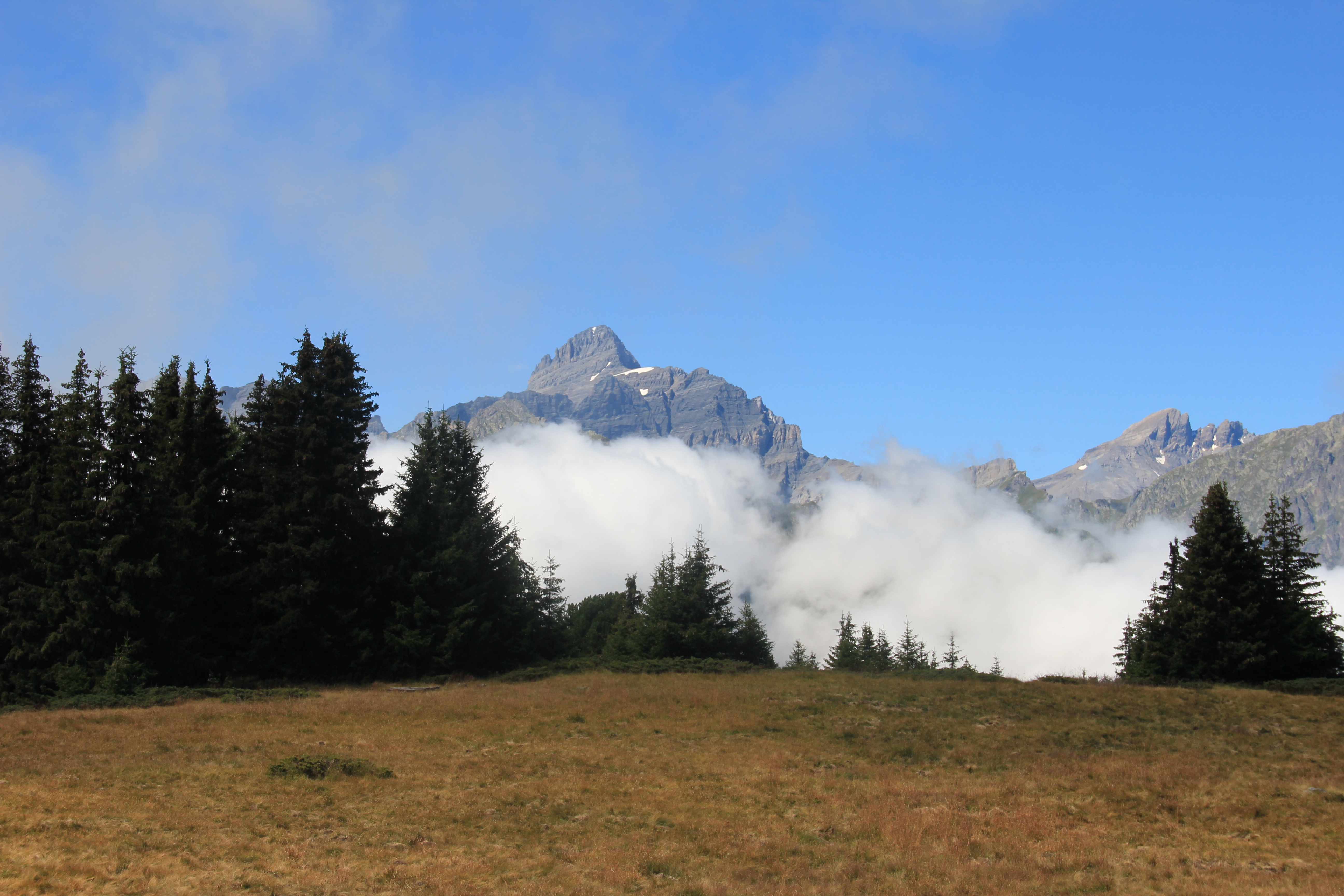 Tour Salli&egrave;re