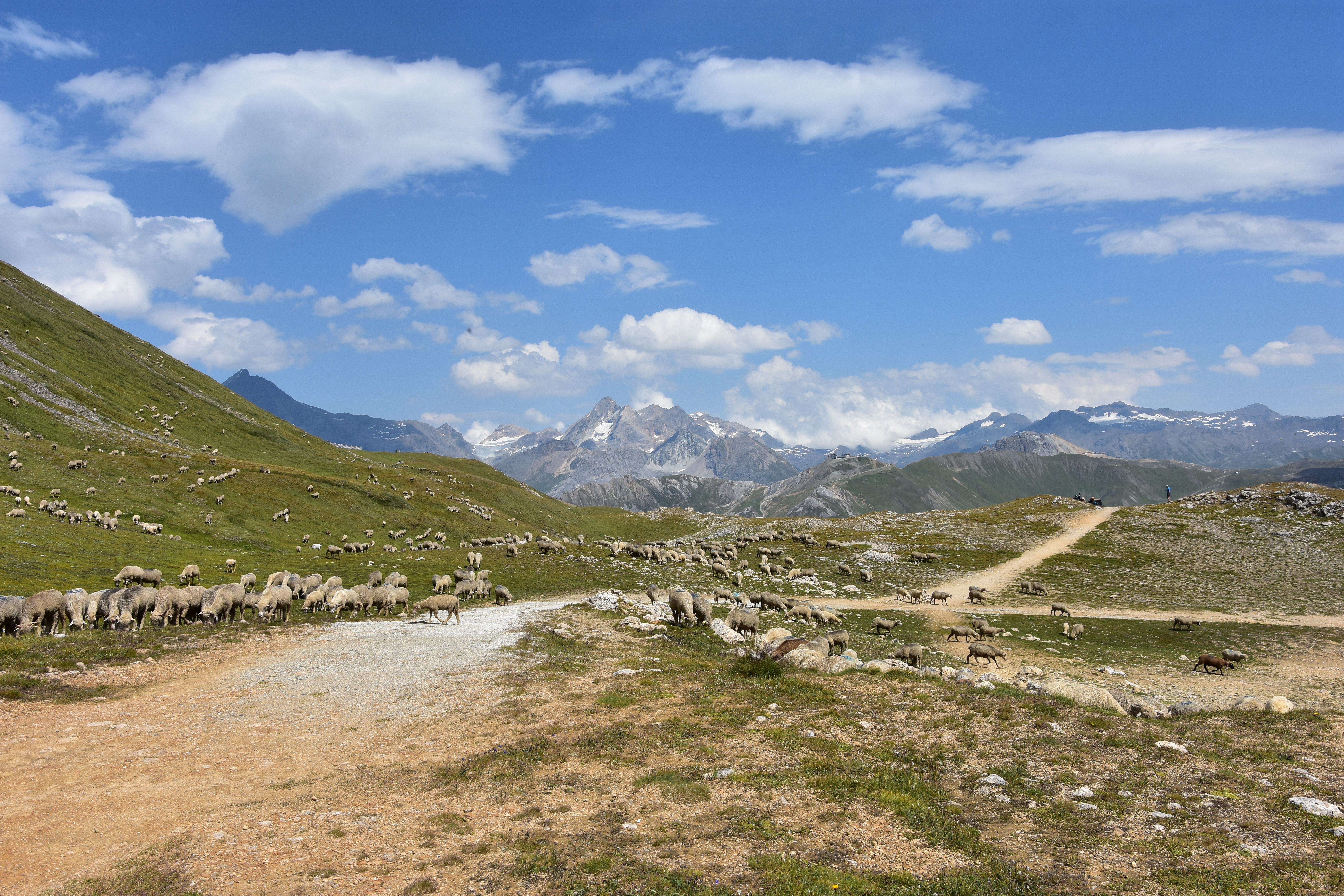 Am Col du Palet