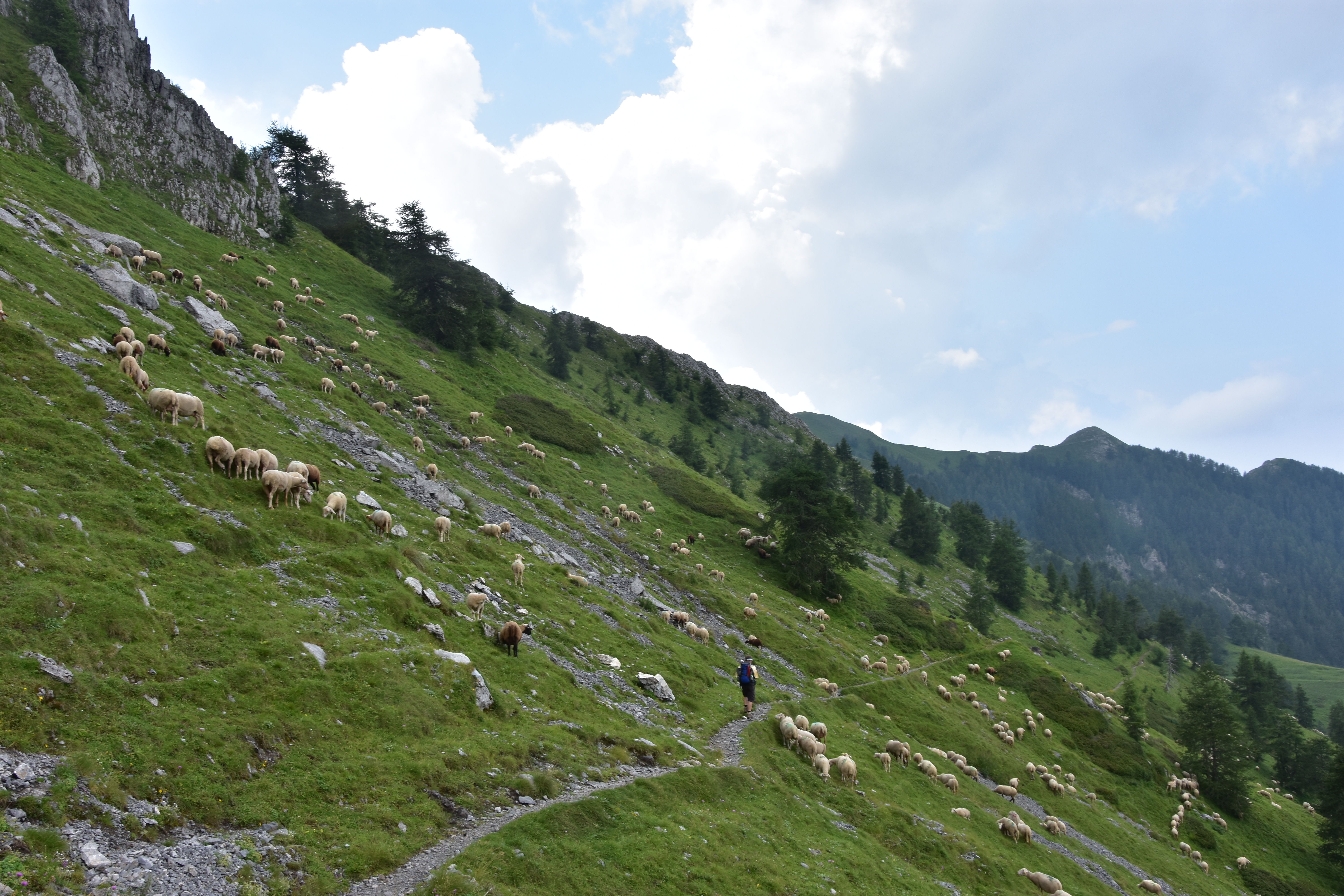 Auf dem Weg zum Col de Raus